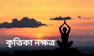 Read more about the article কৃত্তিকা নক্ষত্র (Krittika Nakshatra) – 9 Extraordinary Facts