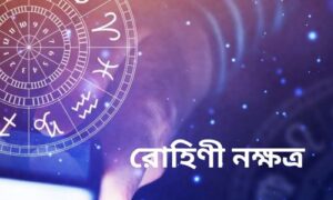 Read more about the article রোহিণী নক্ষত্র(Rohini Nakshatra)- 9 Dynamic Characteristics