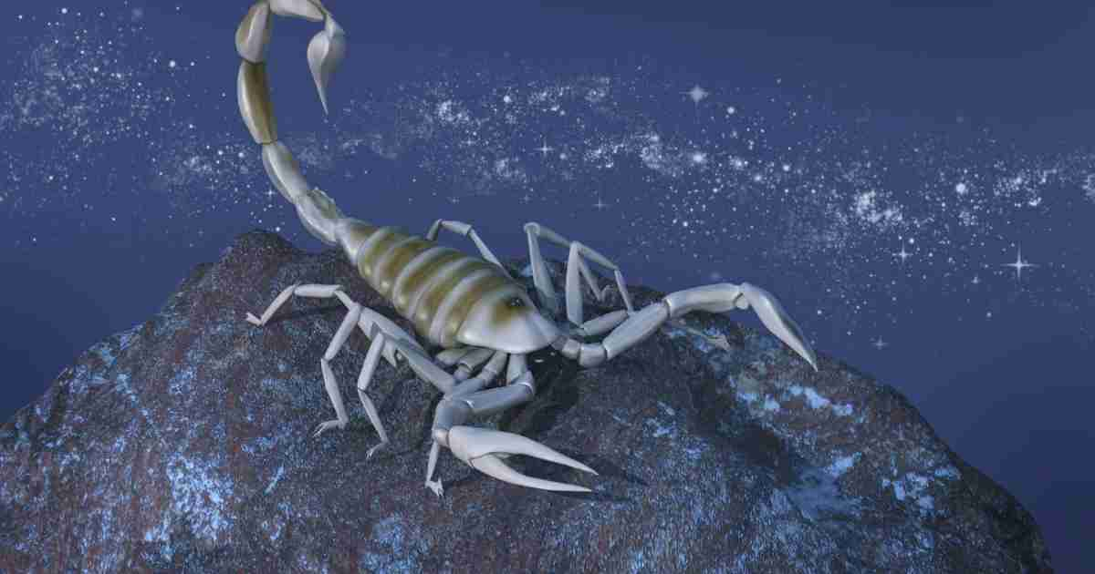 You are currently viewing বৃশ্চিক রাশি (Scorpio) – 9 Amazing Facts