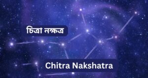 Read more about the article চিত্রা নক্ষত্র (Chitra Nakshatra)  – 9 Dynamic Characteristics